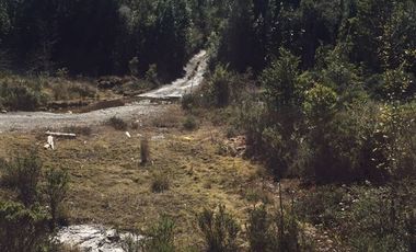 Parcela en Venta en Molulco y natri