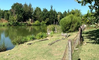 Alquiler casa a laguna Las Glorietas, Nordelta