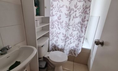 FRAY CAMILO HENRIQUEZ Y PINTOR NEMESIO ANTUNEZ