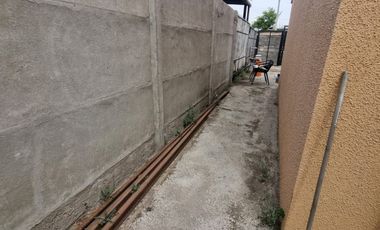 FRAY CAMILO HENRIQUEZ Y PINTOR NEMESIO ANTUNEZ