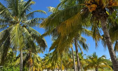 CASA FRENTE AL MAR EN SAN BRUNO EN RENTA A LARGO PLAZO CON PÁNELES SOLARES