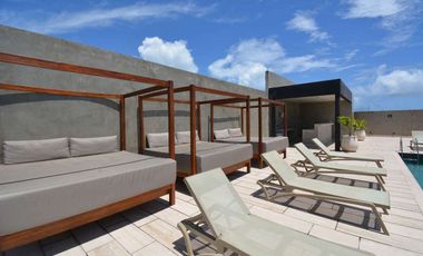 ARTE MAYA ESTUDIO