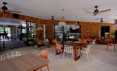ARTE MAYA ESTUDIO
