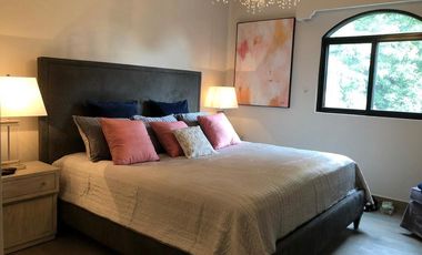 Departamento amueblado en renta en Polanco, Emilio Castelar.