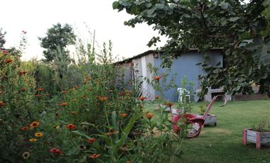 Amplia parcela con casa, Cardonal Bajo. Paine