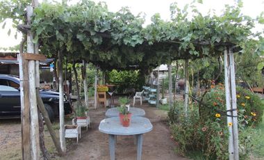 Amplia parcela con casa, Cardonal Bajo. Paine