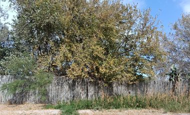 TERRENO EN VENTA EN CIUDAD JUAREZ , LERDO, DURANGO