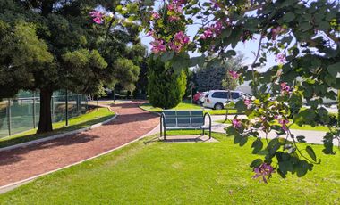 METEPEC RENTA AMUEBLADA RINCONADA EL CASTAÑO