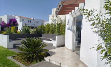 METEPEC RENTA AMUEBLADA RINCONADA EL CASTAÑO