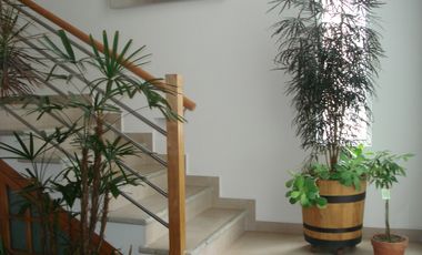 METEPEC RENTA AMUEBLADA RINCONADA EL CASTAÑO