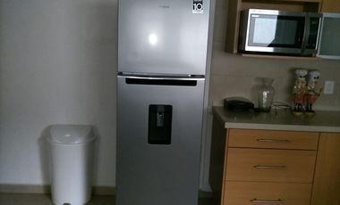 METEPEC RENTA AMUEBLADA RINCONADA EL CASTAÑO