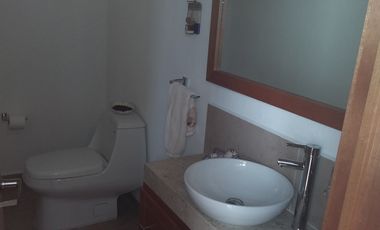 METEPEC RENTA AMUEBLADA RINCONADA EL CASTAÑO