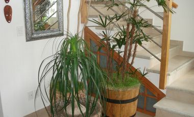 METEPEC RENTA AMUEBLADA RINCONADA EL CASTAÑO