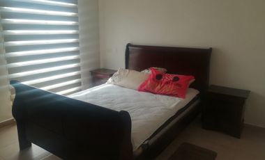 METEPEC RENTA AMUEBLADA RINCONADA EL CASTAÑO