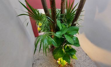 Casa de una planta, estilo colonial con jardines, dos recámaras y alberca