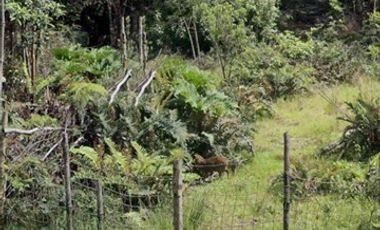 Parcela en Venta en Compu Lt 3- C