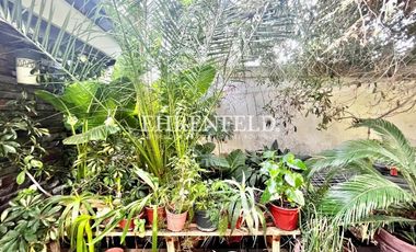 Brown norte. Espaciosa casa en Providencia.