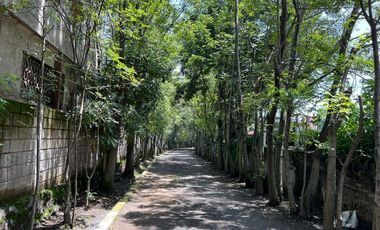 Vive en una Casa que Combina la Tranquilidad del Campo con la Ciudad
