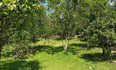 Hermosa Quinta, Ebtun. Valladolid, Yucatan