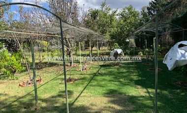 CASA EN RENTA AMUEBLADA  EN TEQUISQUIAPAN EN GRANJAS RESIDENCIALES. Amanda