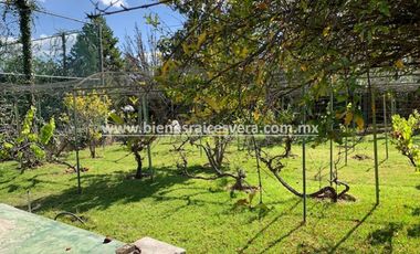 CASA EN RENTA AMUEBLADA  EN TEQUISQUIAPAN EN GRANJAS RESIDENCIALES. Amanda