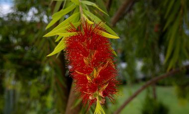 Departamento en renta en Lomas Altas