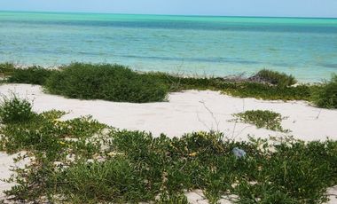 Villa en venta en Celestún, Yuc, frente al mar.