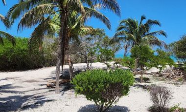 Villa en venta en Celestún, Yuc, frente al mar.