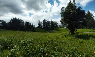 Se vende parcela en Osorno