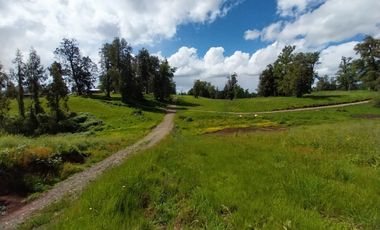 Se vende parcela en Osorno