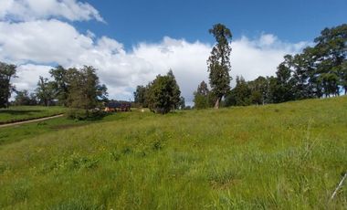 Se vende parcela en Osorno