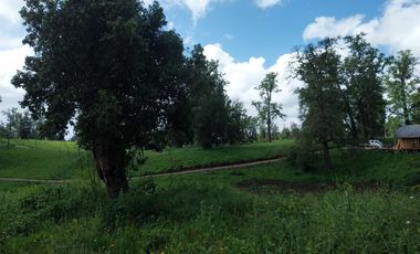 Se vende parcela en Osorno