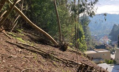 Sitio en Venta en LONCO PARQUE