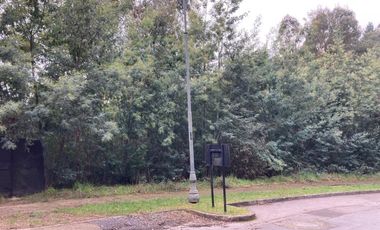 Sitio en Venta en LONCO PARQUE
