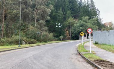 Sitio en Venta en LONCO PARQUE