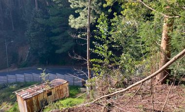 Sitio en Venta en LONCO PARQUE