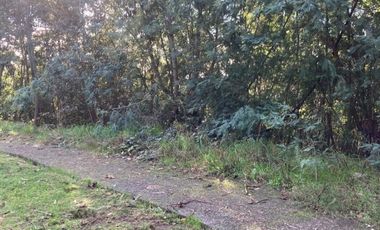 Sitio en Venta en LONCO PARQUE