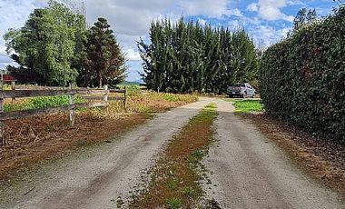 Parcela en Venta en PARCELA 4 HECTÁREAS CON CASA SÓLIDA Y REGULARIZADA