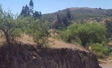 Parcela en Venta en 35.000 M2. HERMOSA PARCELA CON LOMAJE. CODIGUA