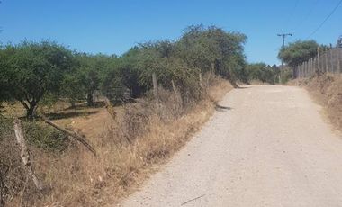 Parcela en Venta en 35.000 M2. HERMOSA PARCELA CON LOMAJE. CODIGUA