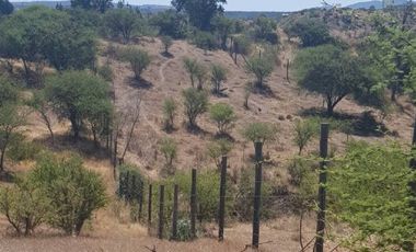 Parcela en Venta en 35.000 M2. HERMOSA PARCELA CON LOMAJE. CODIGUA