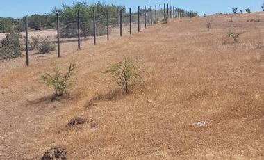 Parcela en Venta en 35.000 M2. HERMOSA PARCELA CON LOMAJE. CODIGUA