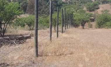 Parcela en Venta en 35.000 M2. HERMOSA PARCELA CON LOMAJE. CODIGUA