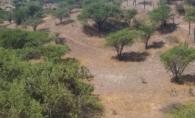 Parcela en Venta en 35.000 M2. HERMOSA PARCELA CON LOMAJE. CODIGUA