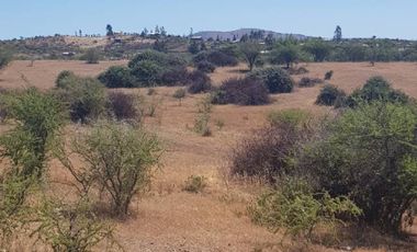 Parcela en Venta en 35.000 M2. HERMOSA PARCELA CON LOMAJE. CODIGUA