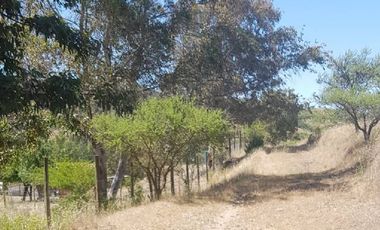 Parcela en Venta en 35.000 M2. HERMOSA PARCELA CON LOMAJE. CODIGUA