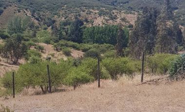 Parcela en Venta en 35.000 M2. HERMOSA PARCELA CON LOMAJE. CODIGUA