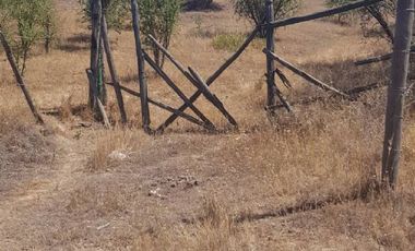 Parcela en Venta en 35.000 M2. HERMOSA PARCELA CON LOMAJE. CODIGUA