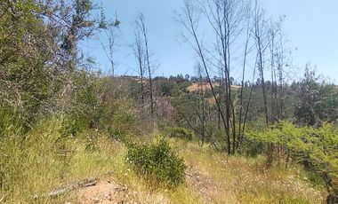 Parcela en Venta en LINCOYAN 425