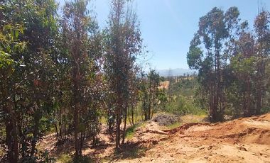 Parcela en Venta en LINCOYAN 425